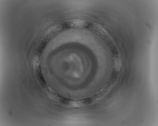 X0000113910701200910081850