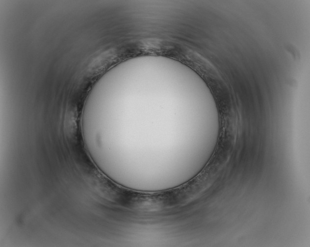 X0000113910702200910081850