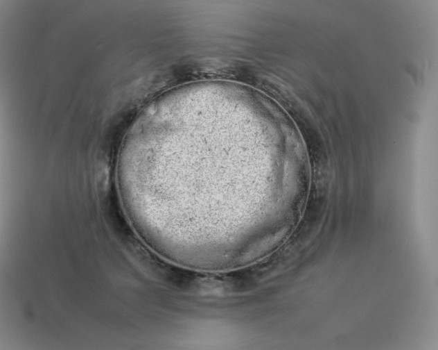 X0000113910703200910081850