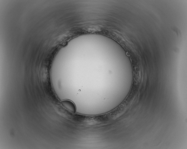 X0000113910704200910081850