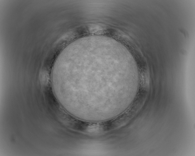 X0000113910705200910081850