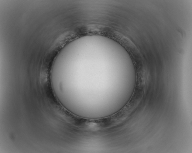 X0000113910706200910081850