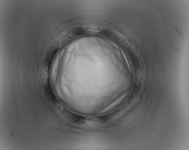 X0000113910707200910081850