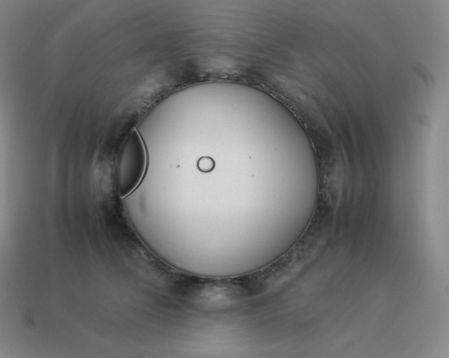 X0000113910708200910081850