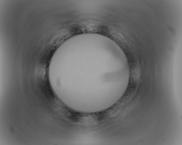 X0000113910709200910081850