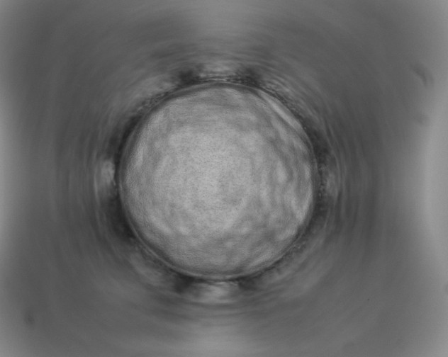 X0000113910711200910081850