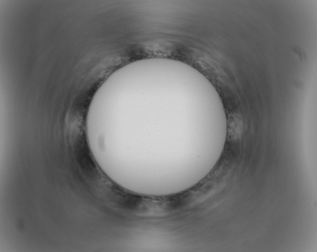 X0000113910713200910081850