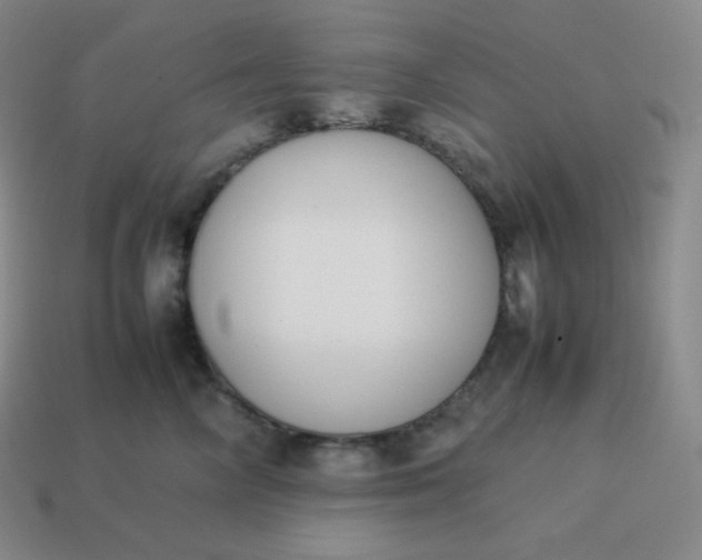 X0000113910714200910081850