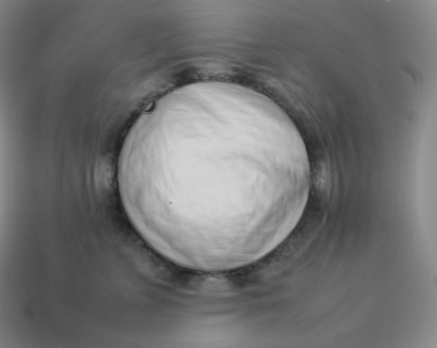 X0000113910715200910081850