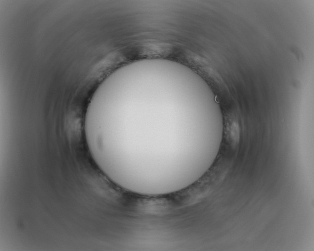 X0000113910716200910081850