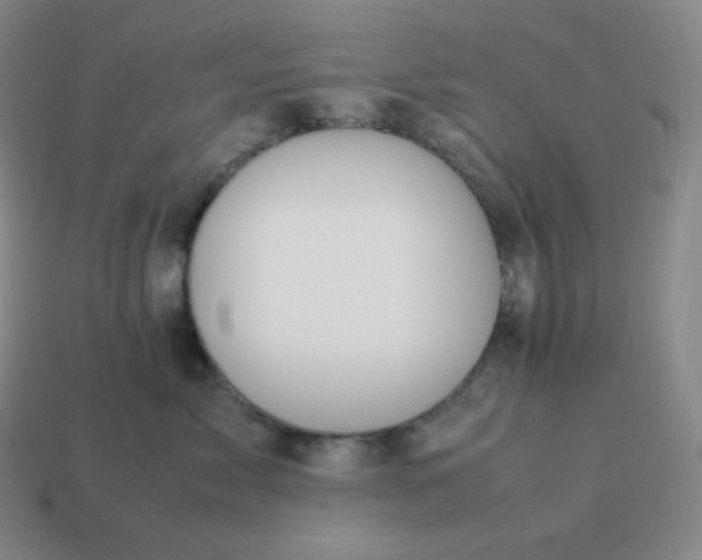 X0000113910717200910081850