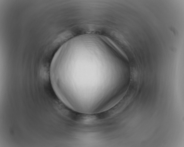 X0000113910719200910081850