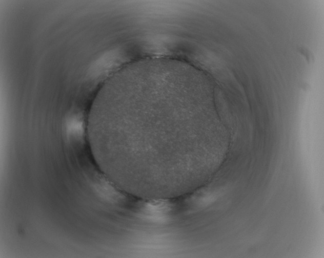 X0000113910720200910081850