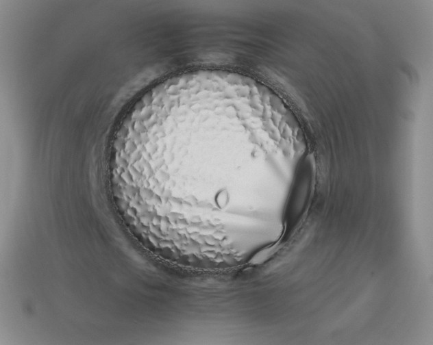 X0000113910721200910081849