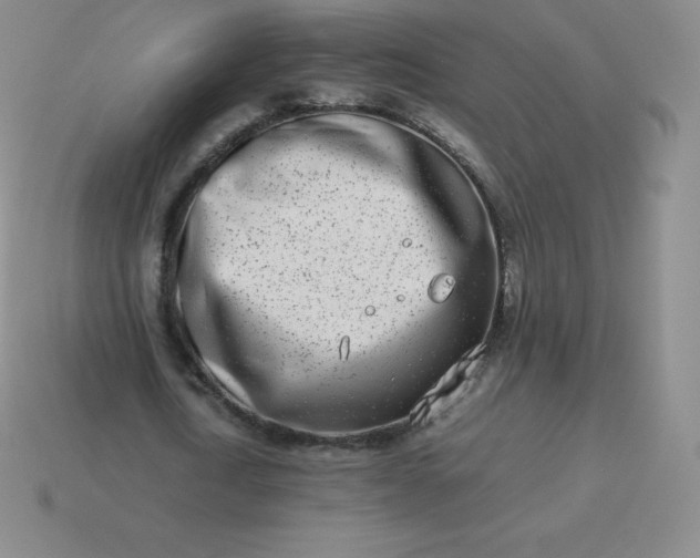 X0000113910722200910081849