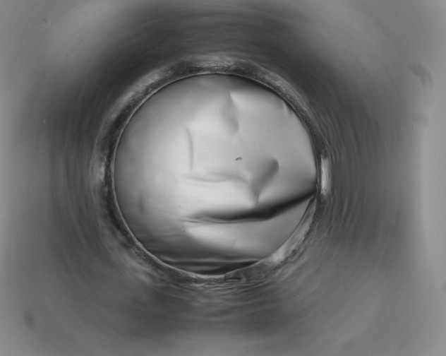 X0000113910723200910081849