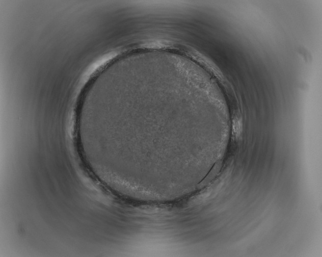 X0000113910724200910081849