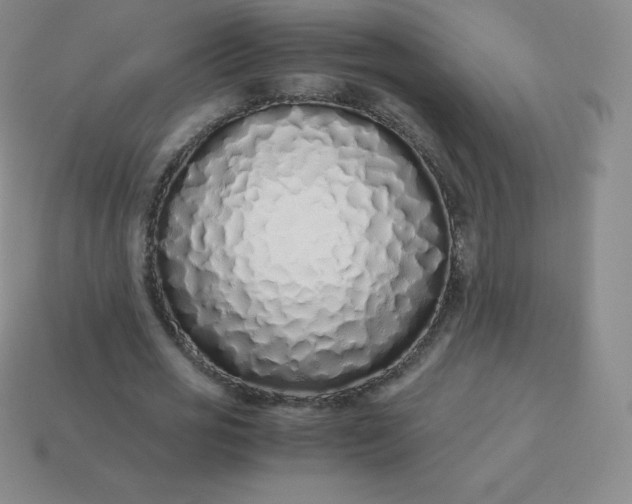 X0000113910725200910081849