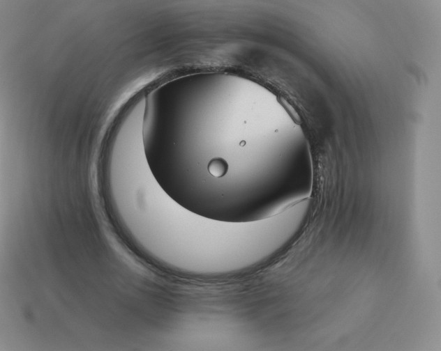 X0000113910726200910081849