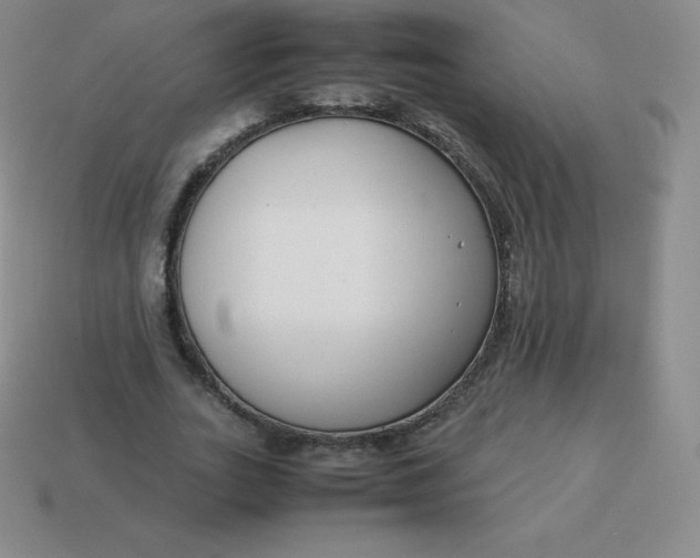 X0000113910727200910081849