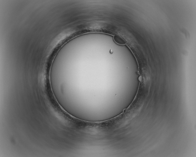 X0000113910728200910081849