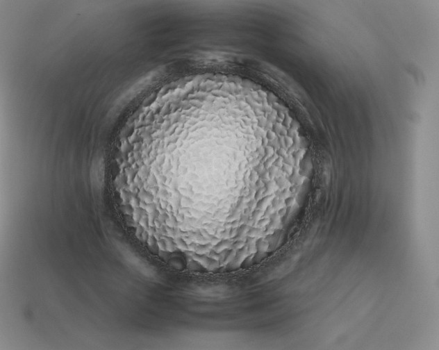 X0000113910729200910081849