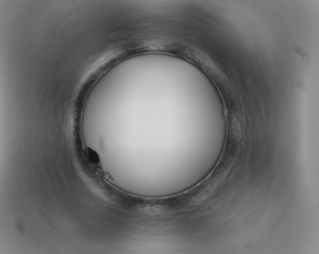 X0000113910730200910081849