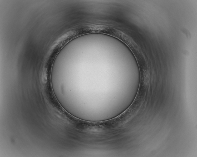 X0000113910731200910081849