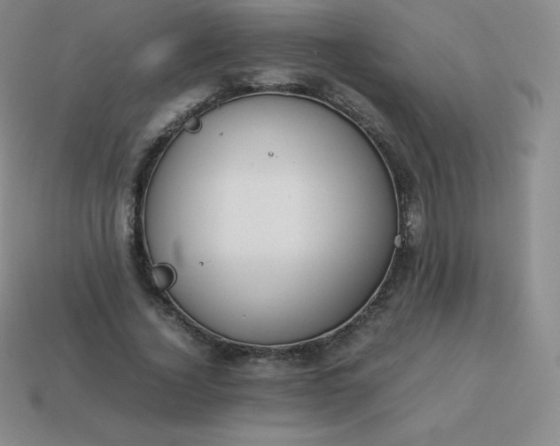 X0000113910732200910081849