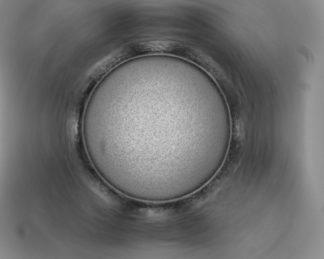 X0000113910733200910081849