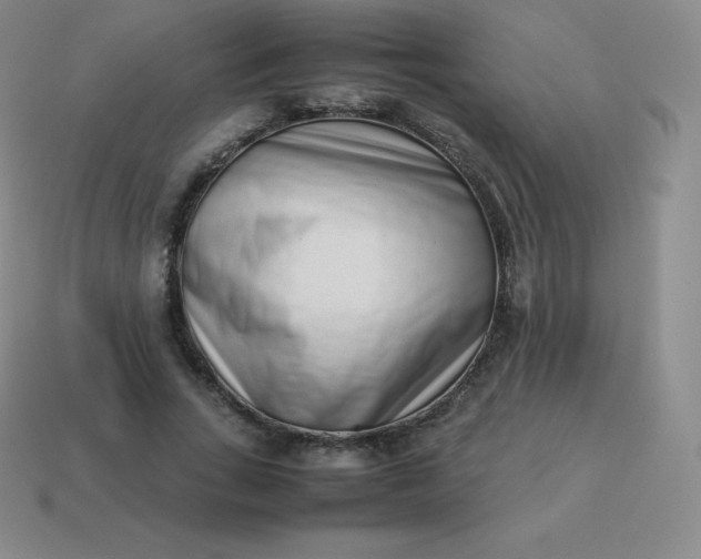 X0000113910735200910081849