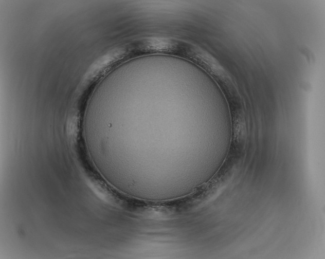 X0000113910736200910081849