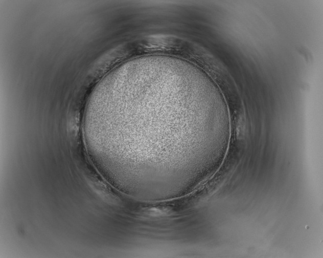 X0000113910737200910081849