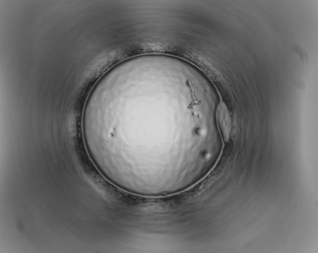 X0000113910738200910081849