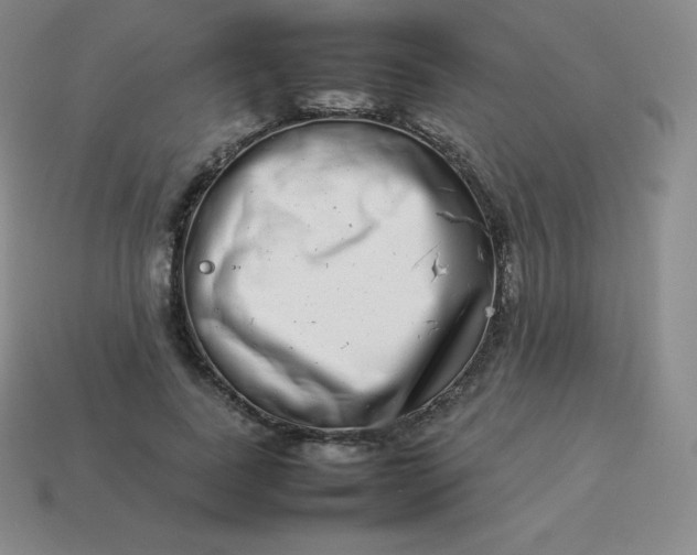 X0000113910739200910081849