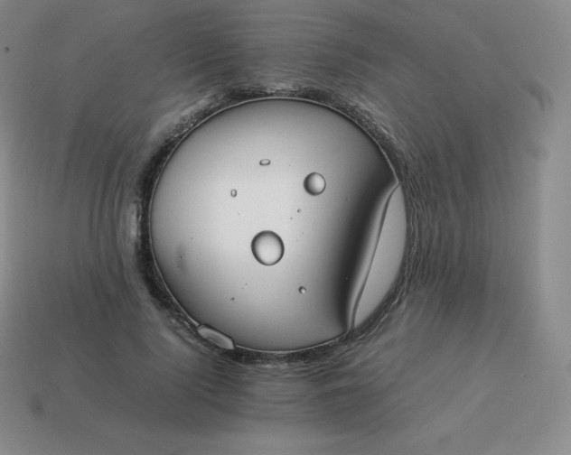 X0000113910740200910081849