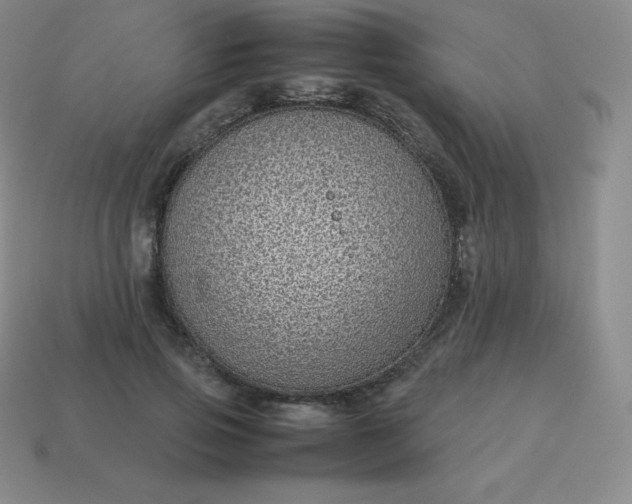 X0000113910741200910081849