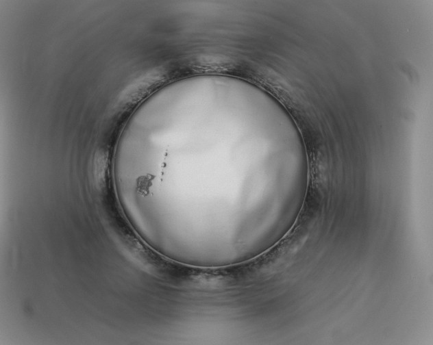 X0000113910742200910081849