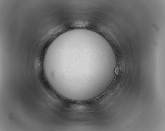 X0000113910743200910081849