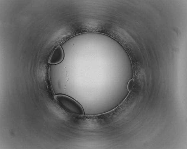 X0000113910744200910081849