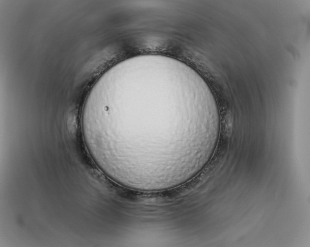 X0000113910746200910081849