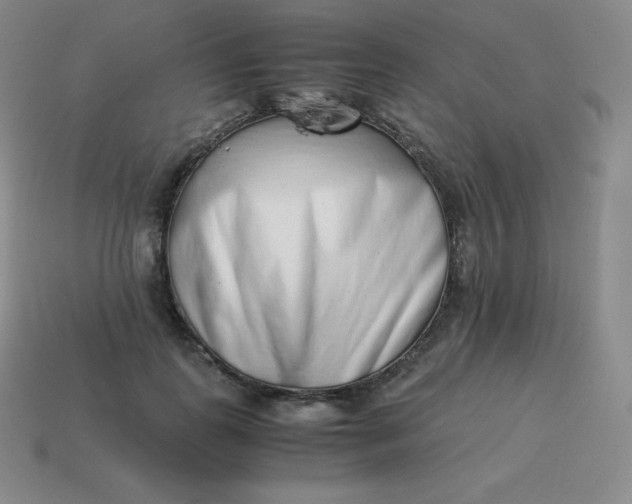 X0000113910747200910081849