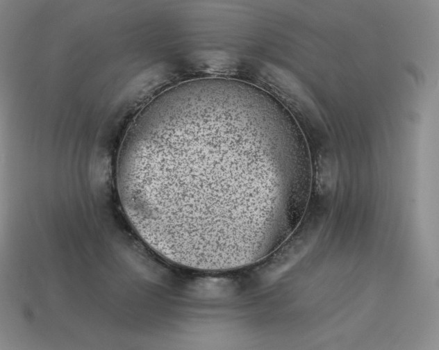 X0000113910748200910081849