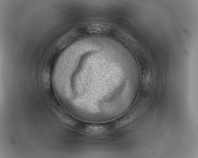 X0000113910749200910081849