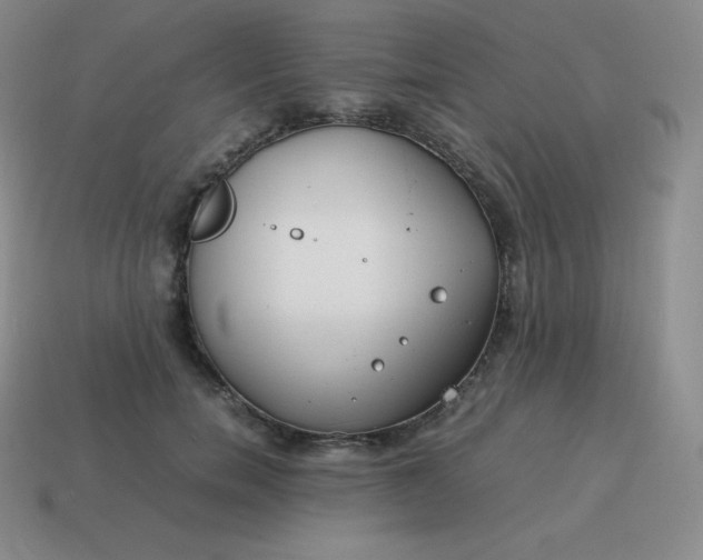 X0000113910750200910081849