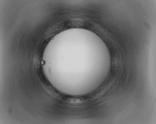 X0000113910751200910081849