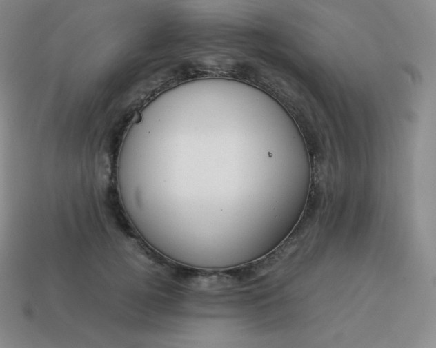 X0000113910752200910081849