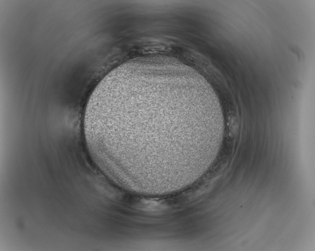 X0000113910753200910081849