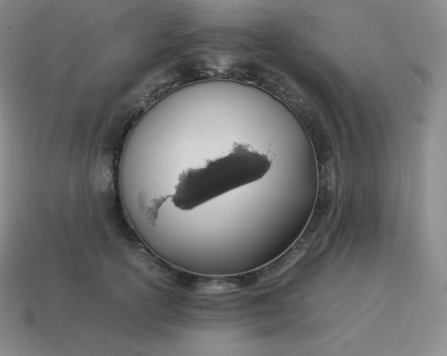 X0000113910754200910081849