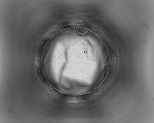 X0000113910755200910081849